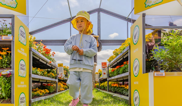 dentsu and Woolworths open world’s first supermarket for bees