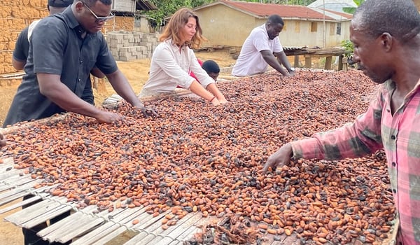 Whittaker’s finds new cocoa bean sources to combat shortage