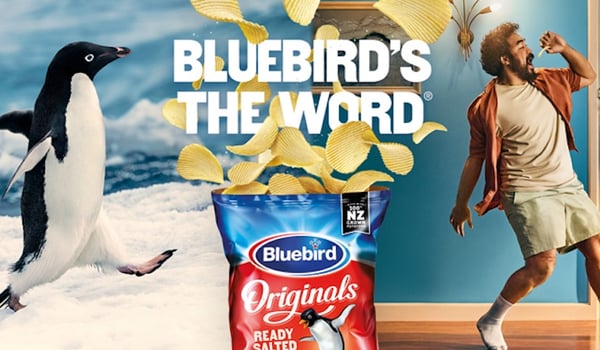 Bluebird shares the love with campaign inspired by penguin pebbling ritual