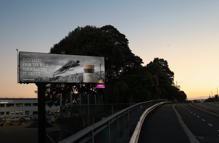 Wind powers The Southerly’s launch campaign