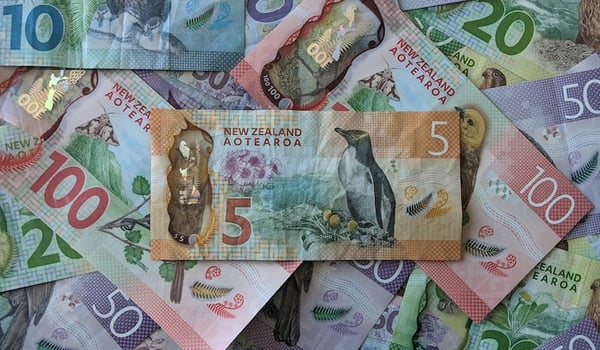 BNZ and The Curve partner up to demystify the world of money