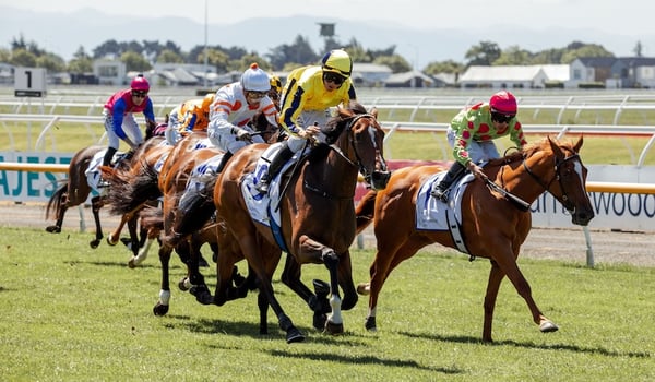 NZME renews exclusive partnership with Riccarton Park Racecourse