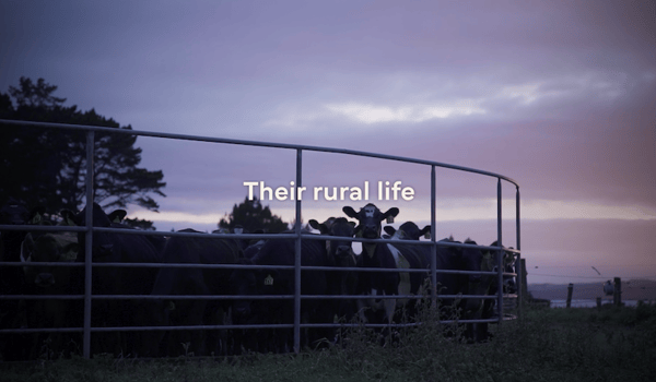 Bettle-Associates and Rural Support Trust’s short film celebrates rural communities