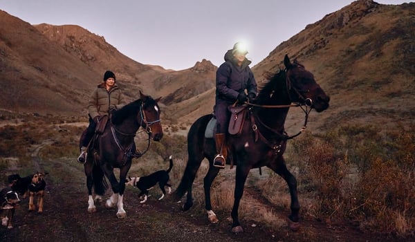 New Zealand Merino Company celebrates Autumn Muster in new campaign