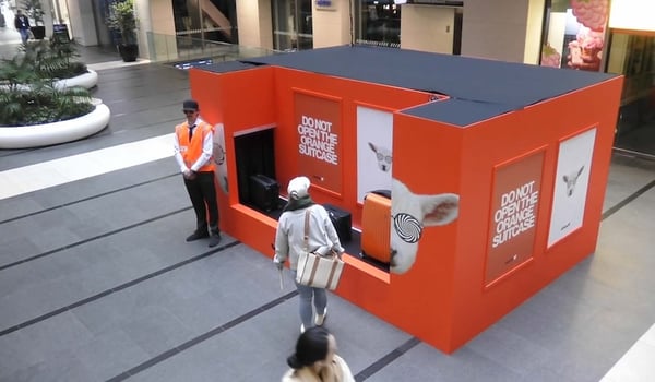 “Don’t open it,” say Jetstar and Thinkerbell