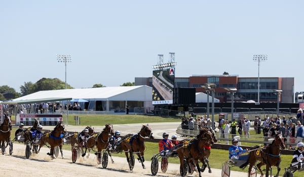 MediaWorks is off to the races with exciting new partnership