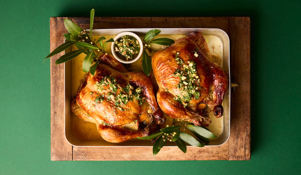 Dish magazine Christmas 2025 first week sales up 41%