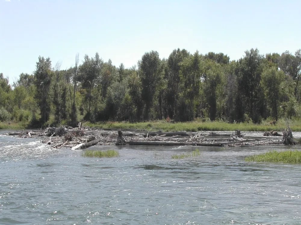 Twin Bridges Park gallery 1