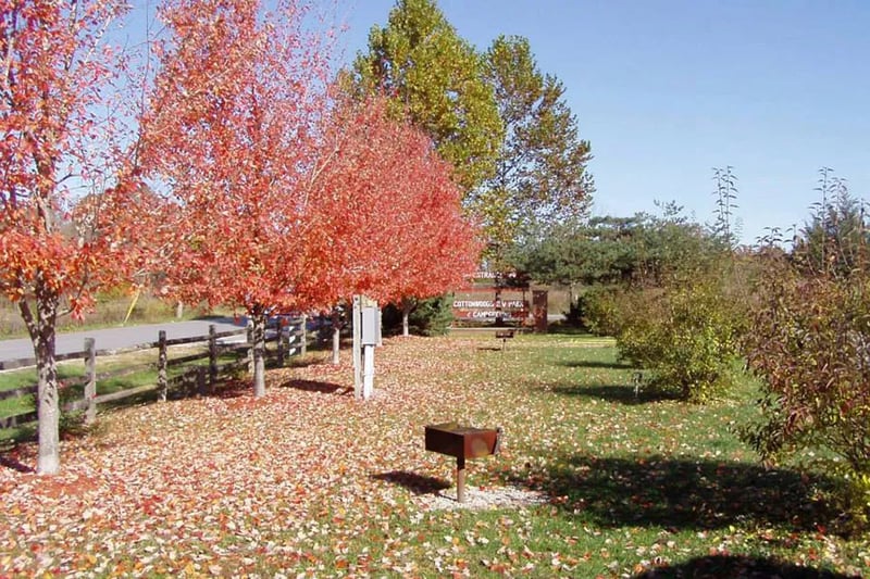 Cottonwoods RV Park & Campground gallery 1