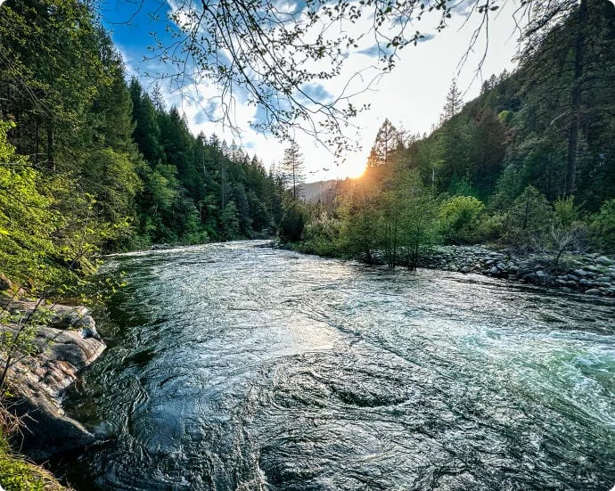 The Lure Resort gallery 3