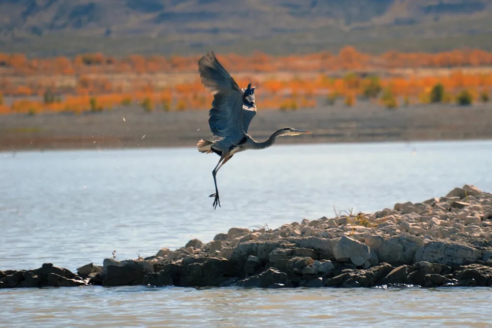 Lakeside RV Park Resort gallery 1