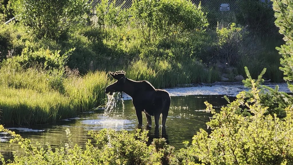 Monarch Spur RV Park & Campground gallery 2