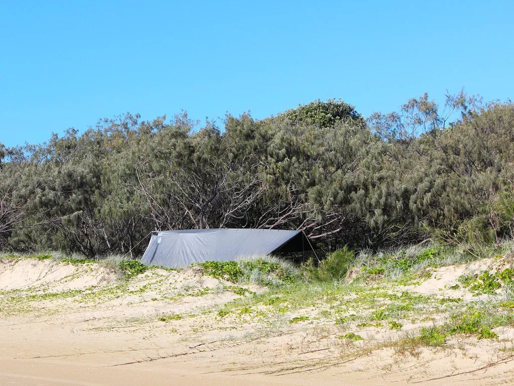 Beach camping zone 2 – One Tree Cornwells Gabala K`gari (Fraser Island) Recreation Area gallery 1