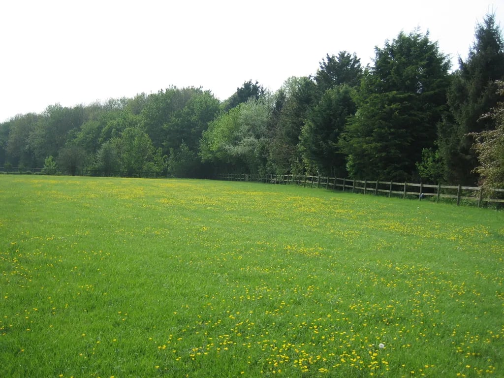 Balldown Touring Caravan Park gallery 2