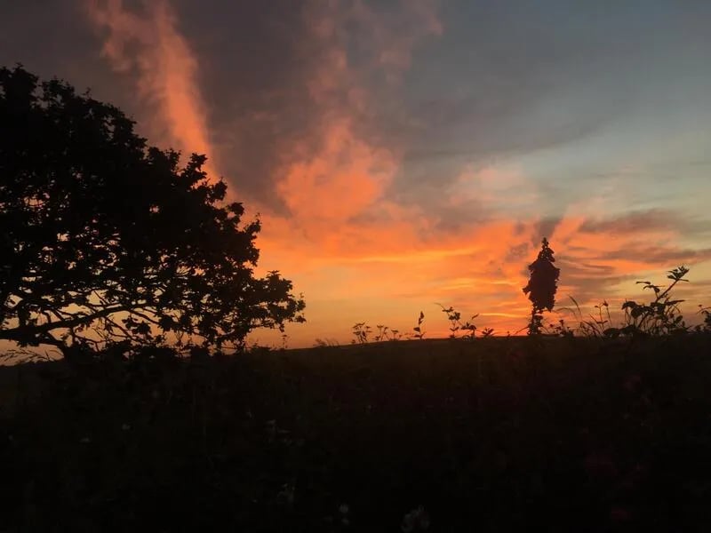 West Kellow Yurts gallery 2