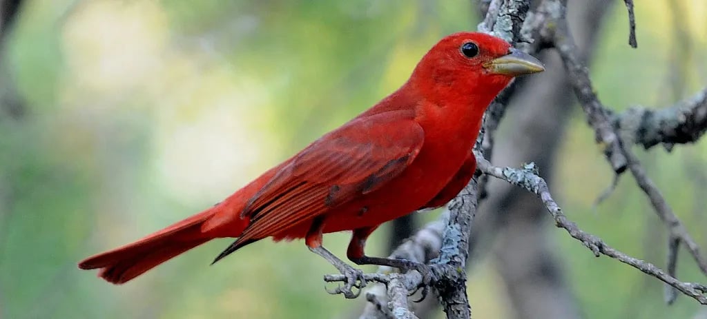 South Llano River State Park Campground gallery 2