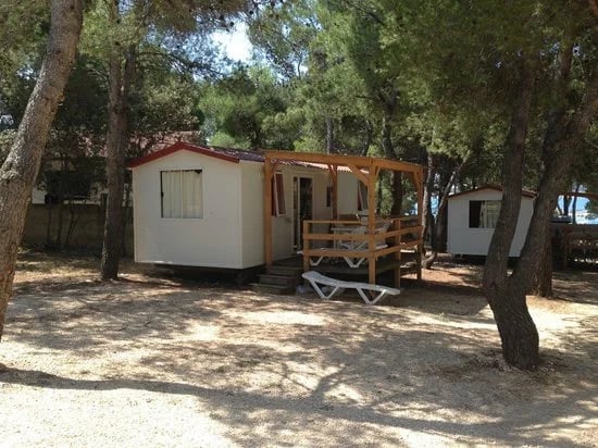 Camp Porat gallery 2