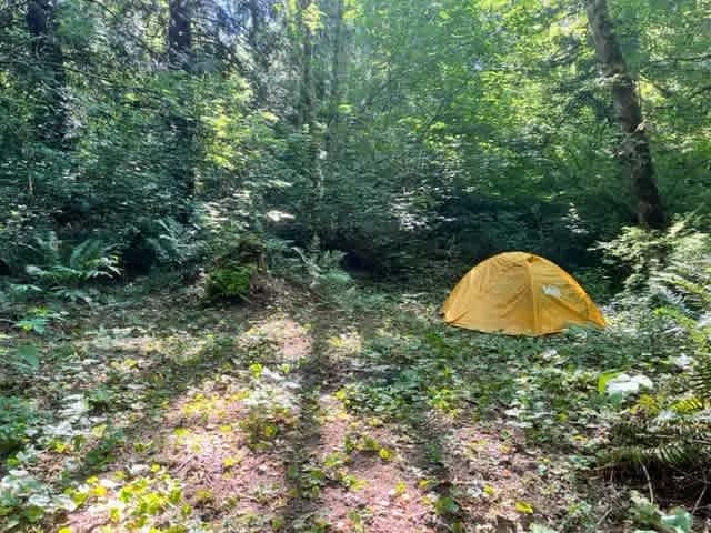 Cedar Groves Rural Campground gallery 1