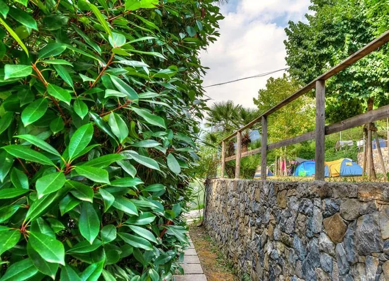 Camping Delle Rose gallery 3