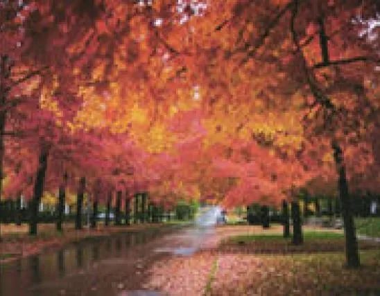 Lake Girardeau Conservation Area