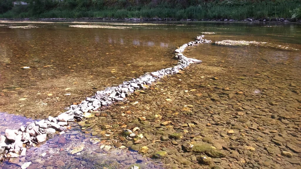 Camping La Glycine gallery 1