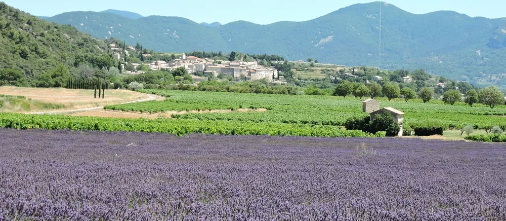 Camping Les Terrasses Provençales gallery 1