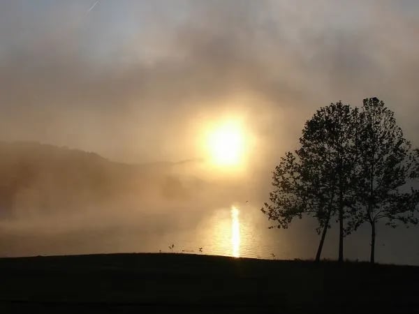 Ozarks RV Resort on Table Rock Lake gallery 3