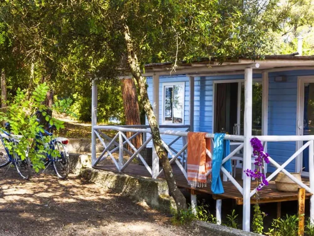 International Etruria gallery 2