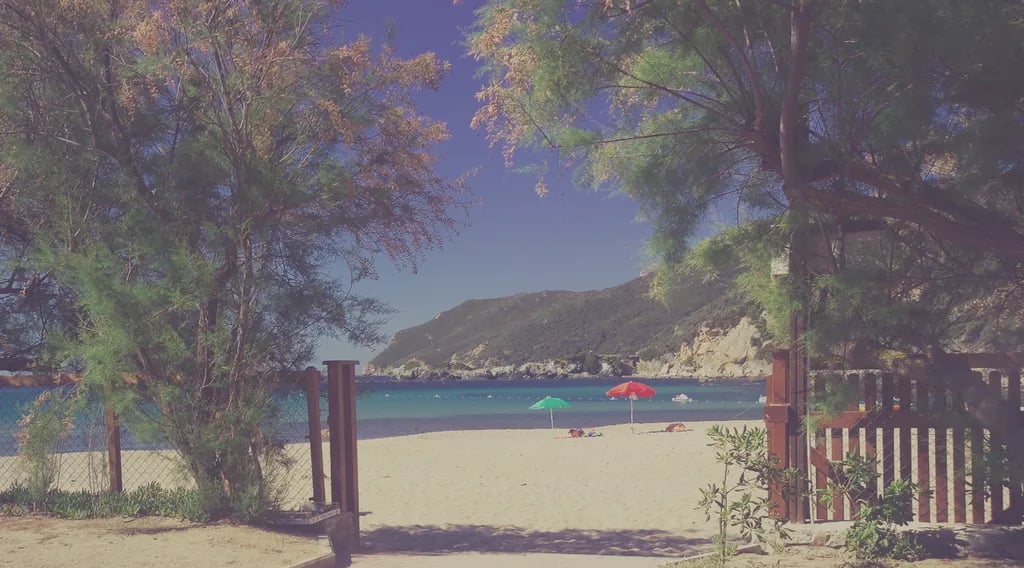 Camping Tallinucci gallery 1