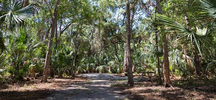 Teri Tomlinson Campground gallery 2