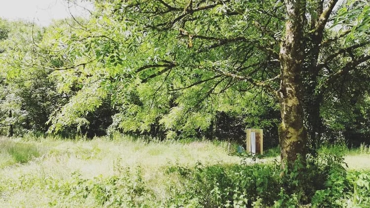 Digs in the Wig gallery 1