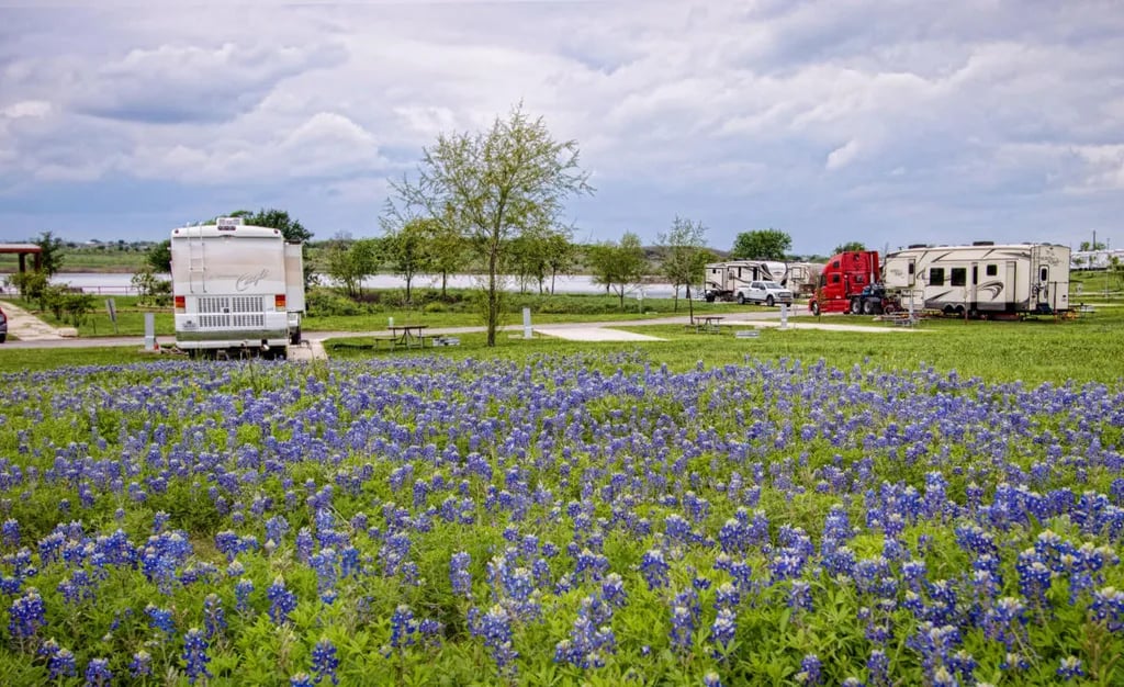 Longhorn RV Resort gallery 3