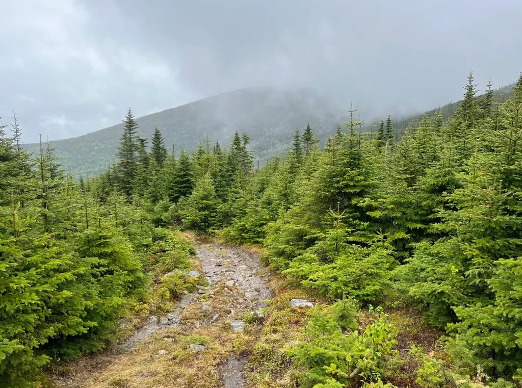 Hostel of Maine gallery 2