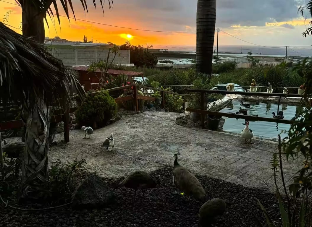 Agro Camping Invernaderito