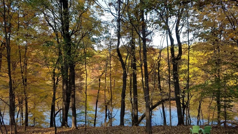 Lake O’ The Woods Club gallery 2