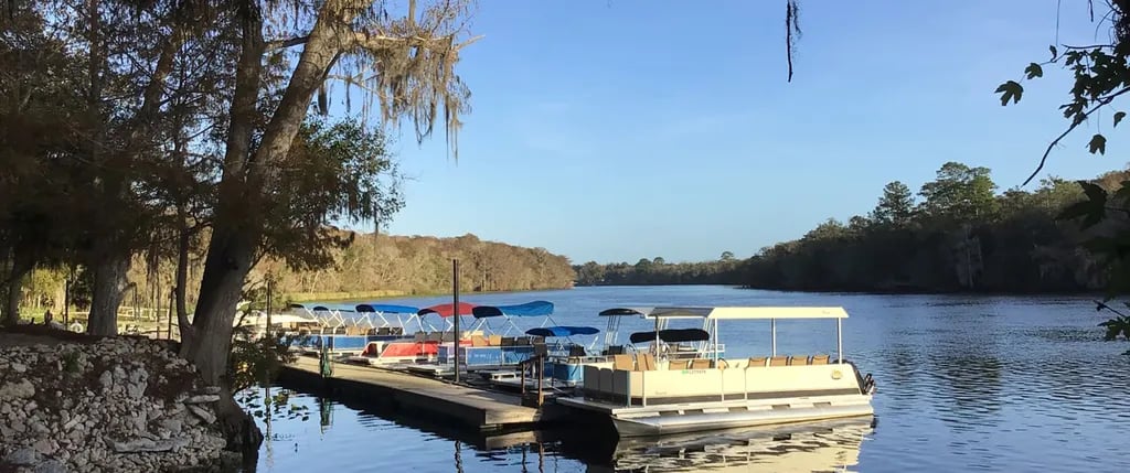 Yellow Jacket RV Resort gallery 1