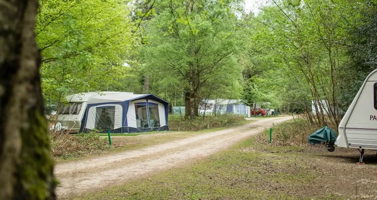 Setthorns Campsite gallery 3