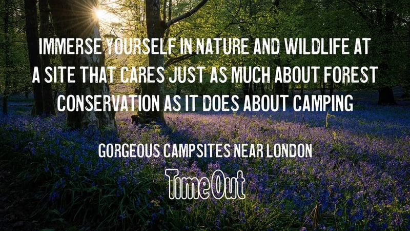 Eastfield Wild Camping gallery 2