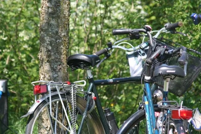 Camping De Coolewee gallery 3