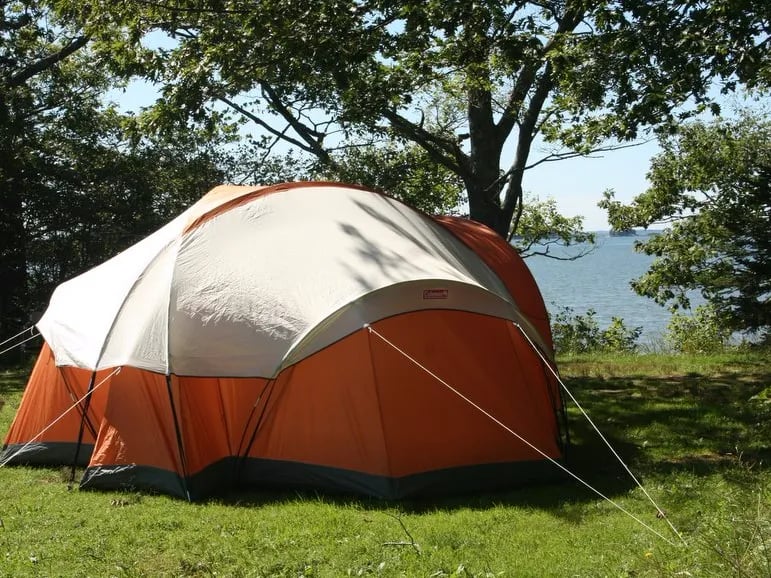 Recompence Shore Campground gallery 1