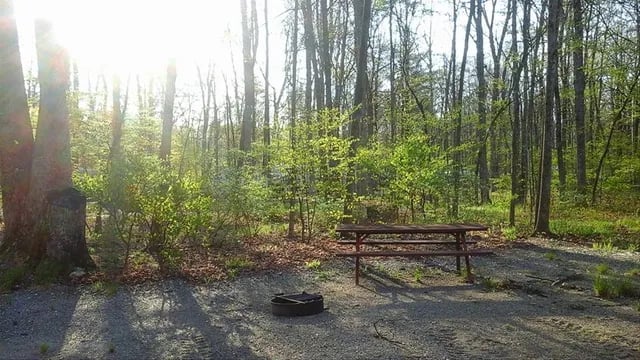 Camping On The Battenkill gallery 3