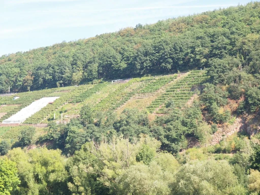 Campingplatz Mainruh gallery 1