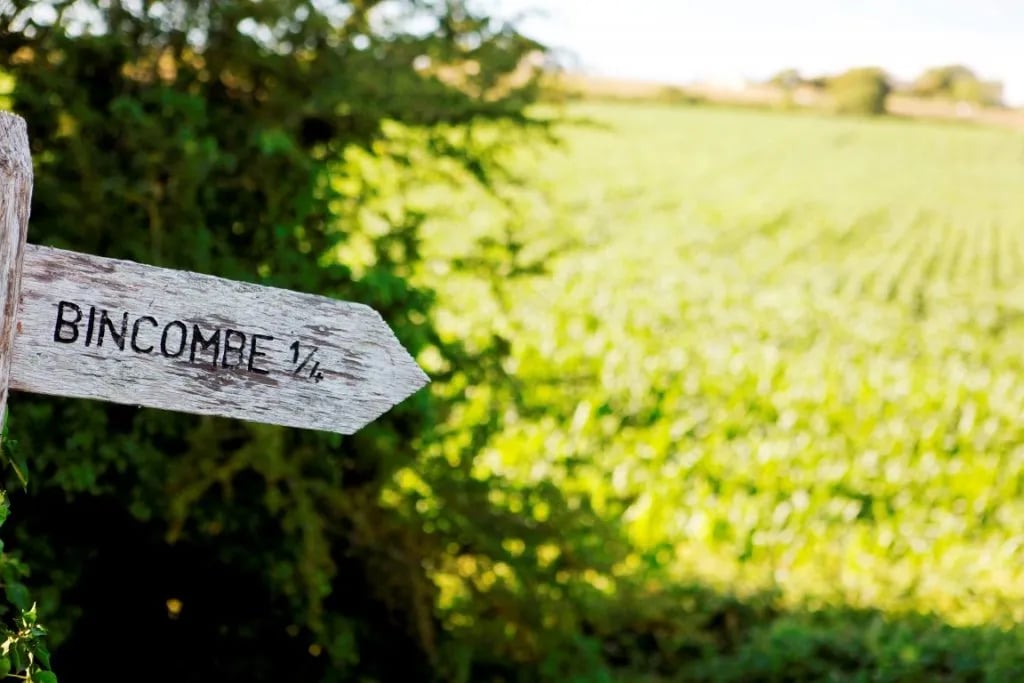 Bincombe Bumps Camping gallery 3