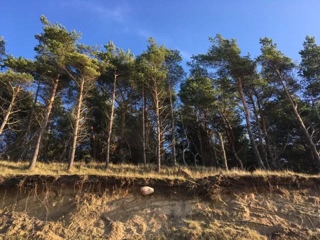 Ziemupes sea-side camping gallery 3