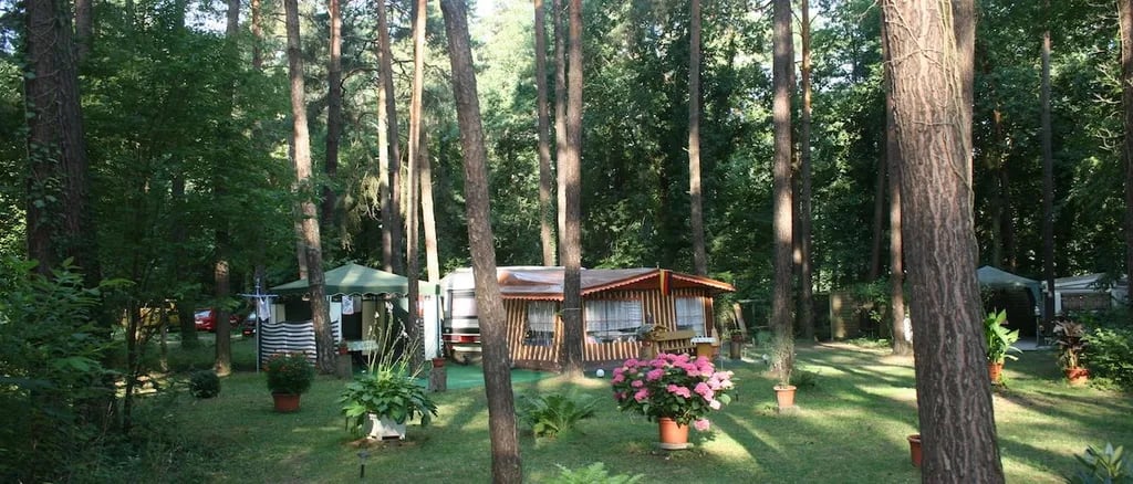 Naturcampingplatz Möhlauer See gallery 3