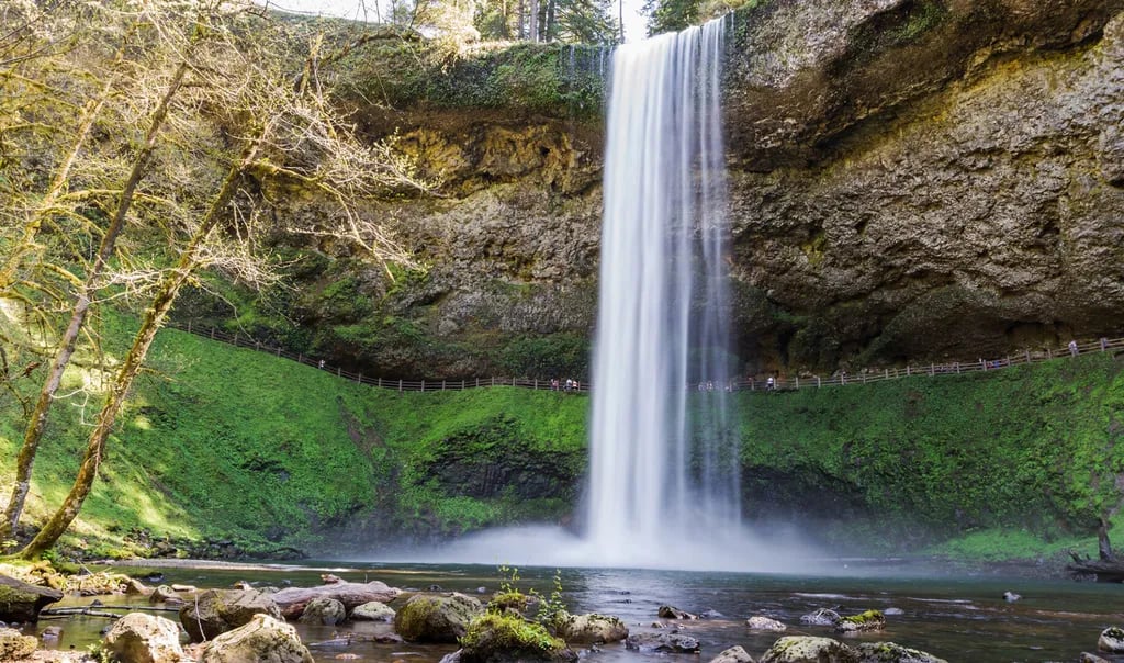 Silver Spur RV Park & Resort gallery 1