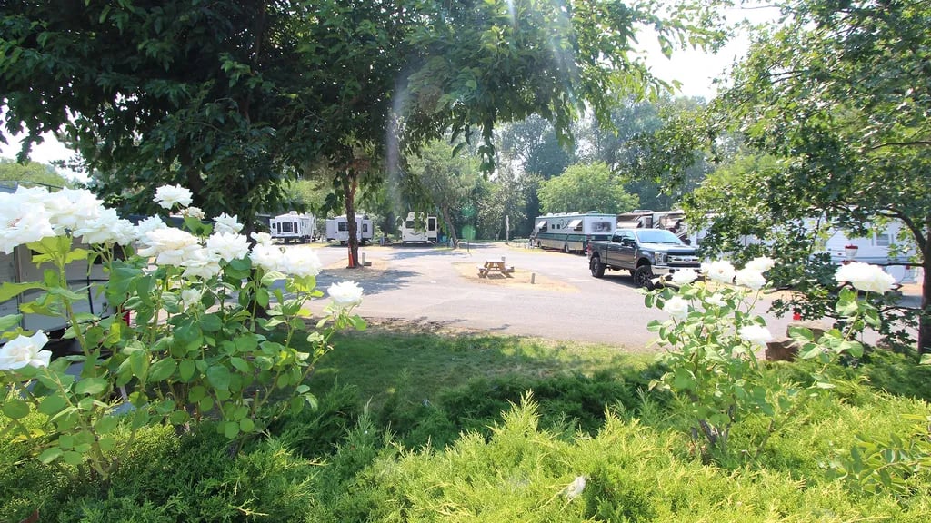 Holiday RV Park gallery 2