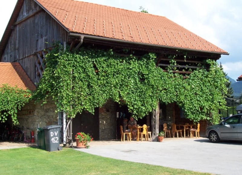 Camp Dolina Prebold