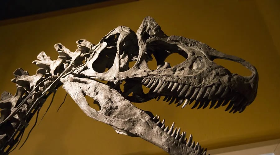 Deer Creek Village RV Park gallery 1