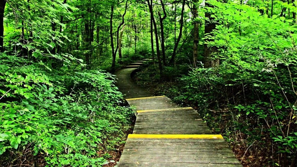 Hamilton County Miami Whitewater Forest Campground gallery 1